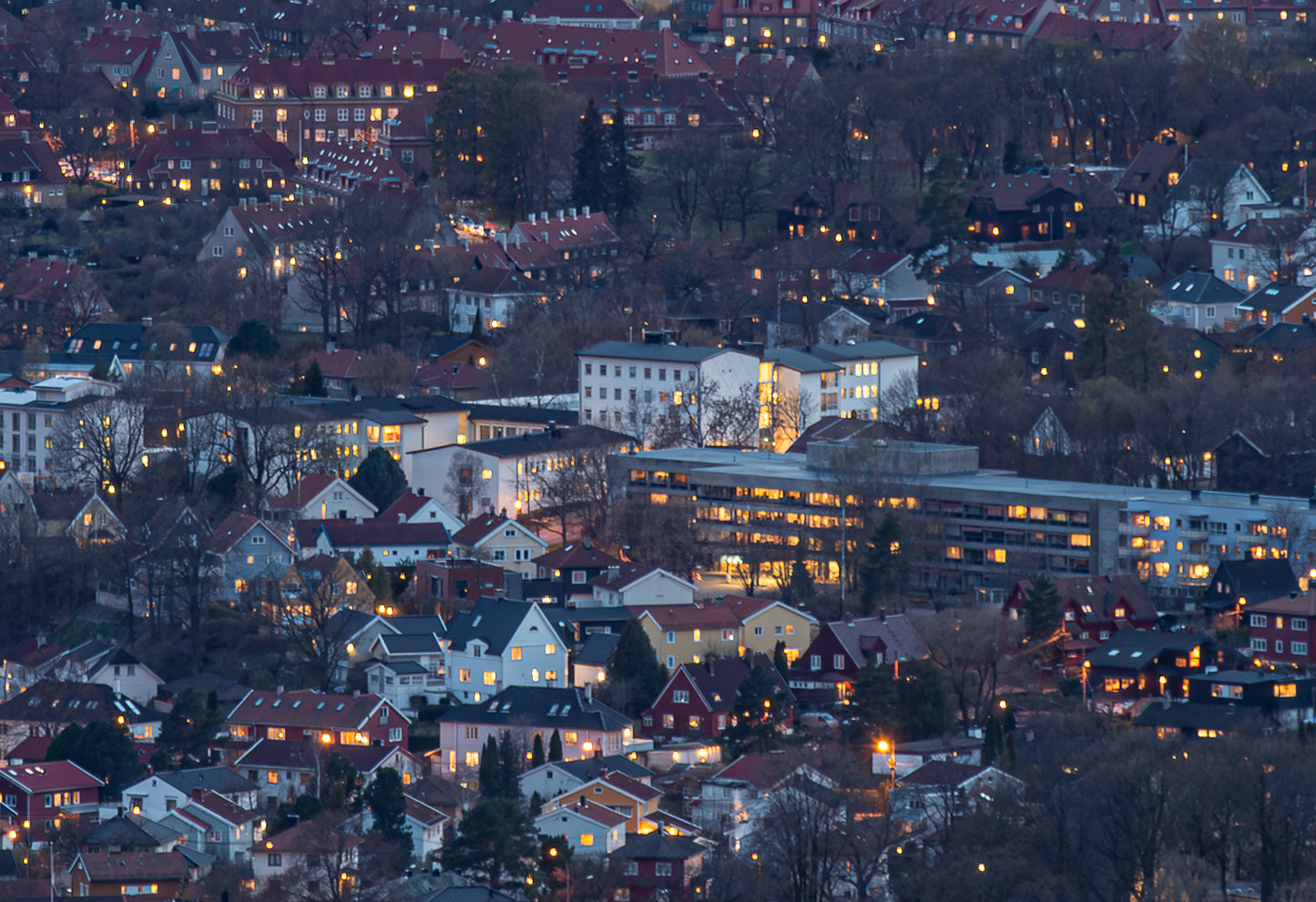Bilde av del av Oslo Ullevål Hageby Blindern etc..