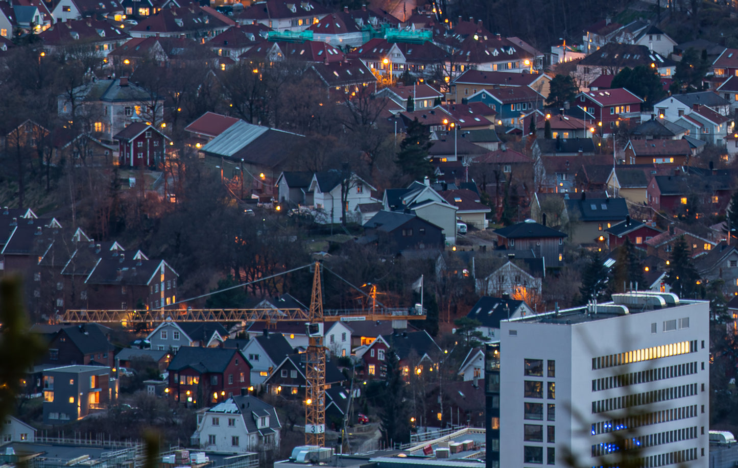 Bilde av del av Oslo Ullevål Hageby Blindern etc..