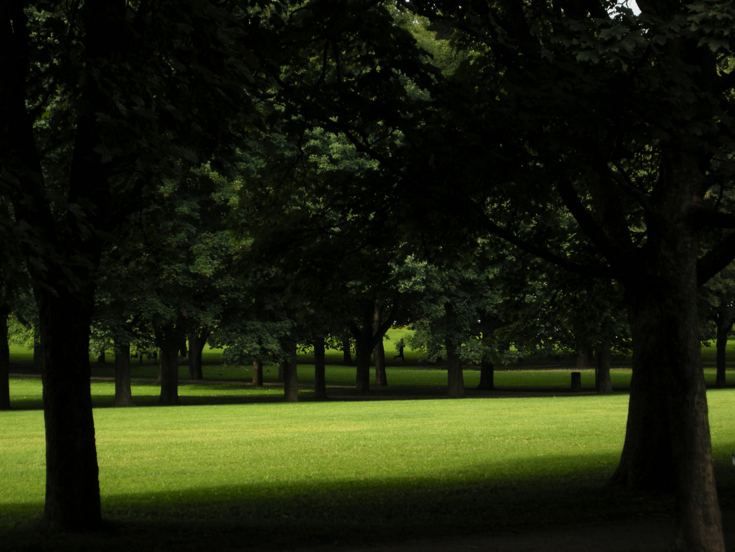 Vigelandsparken i Oslo