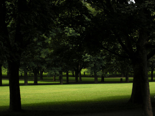Vigelandsparken i Oslo