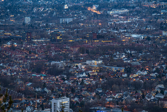 kunsttrykk foto ullevål hageby blindern fra grefsen