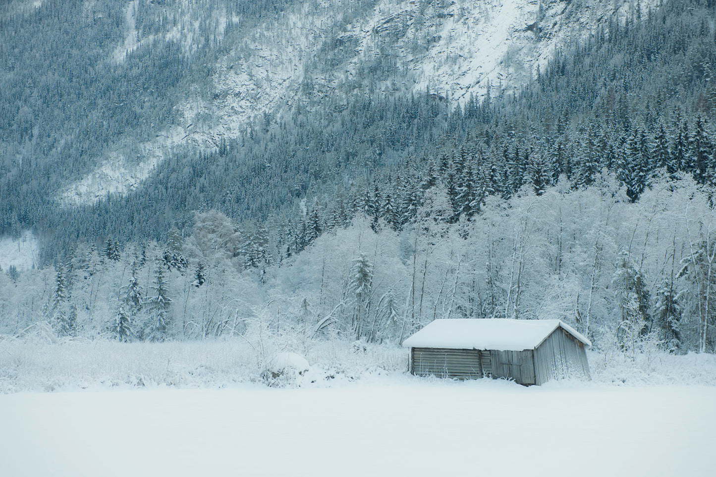 låve i rukkedalen kunstfoto nesbyen