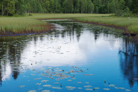 finnskogen kunstfoto elv natur