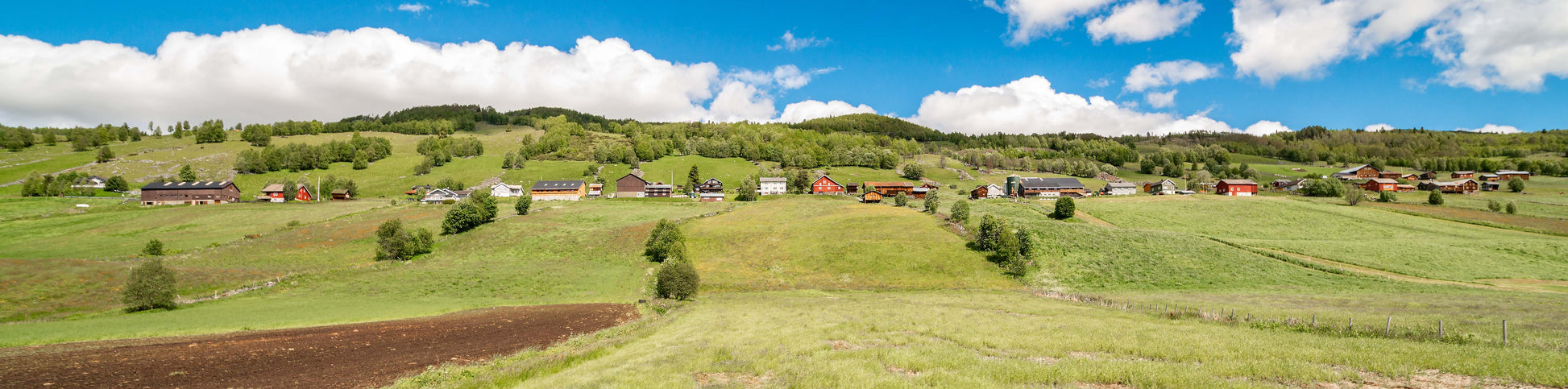 panorama level hallingdal kunstfoto