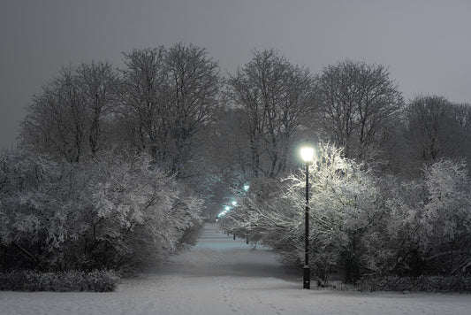 vigeland park first snow kunstfoto